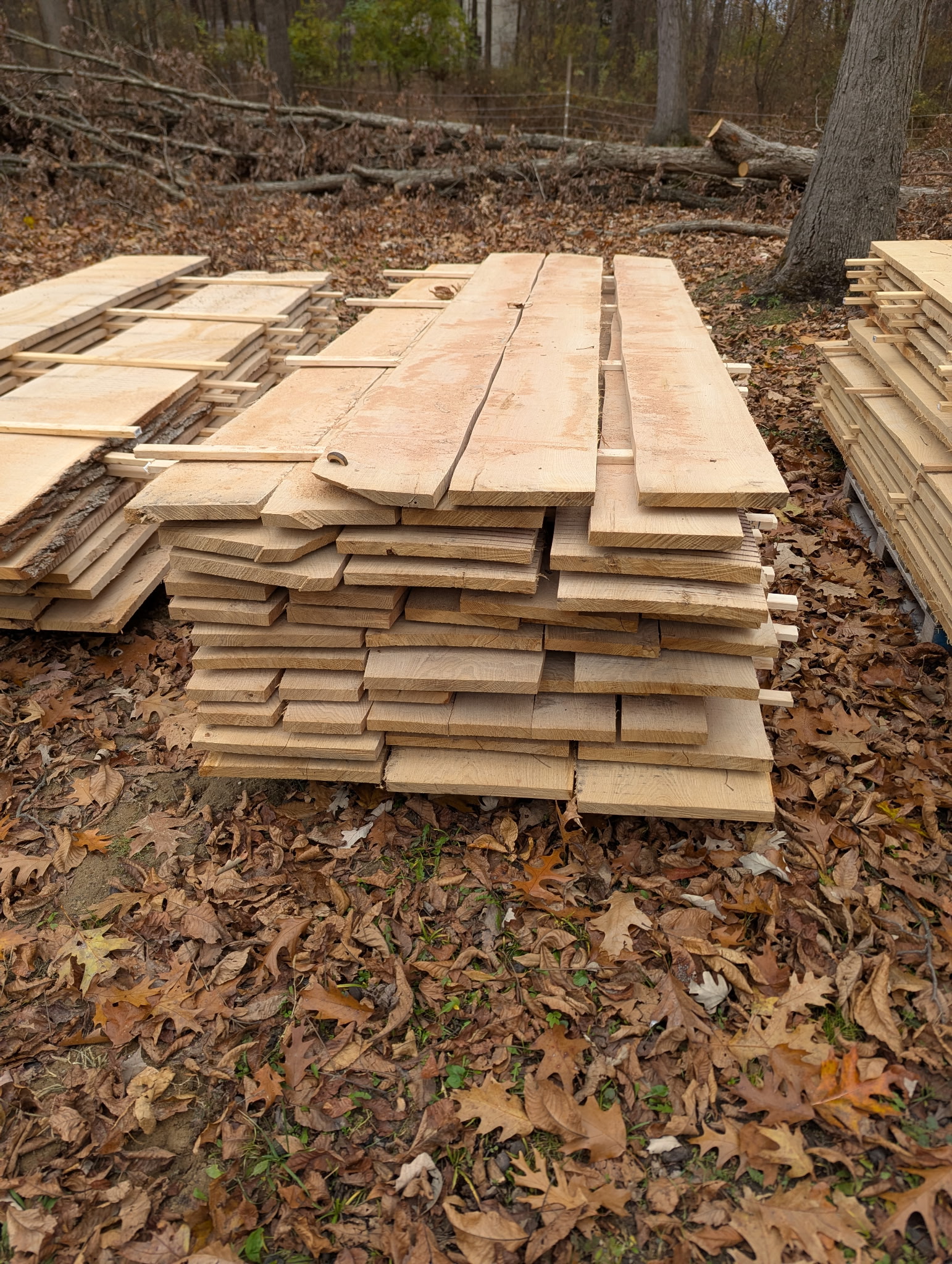 Rough Sawn Lumber
